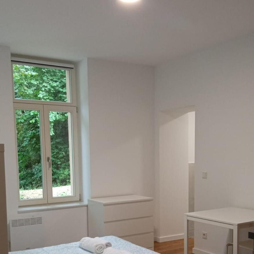 Studio Near To The City Centre Luxembourg Exterior photo